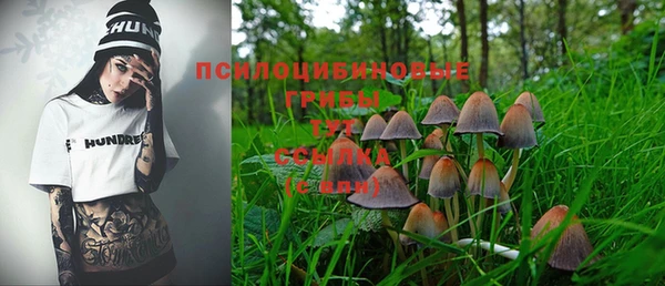 Альфа ПВП Осинники