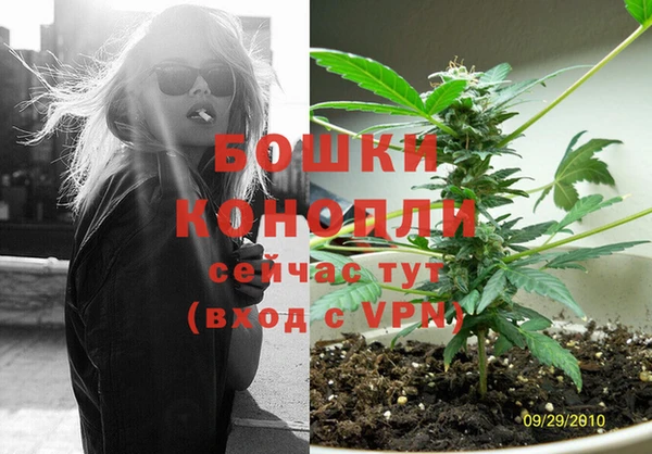 mdpv Галич